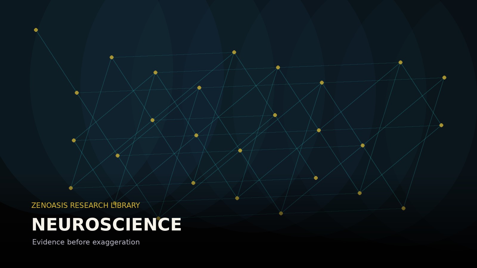 Abstract ZENOASIS artwork for Neuroscience